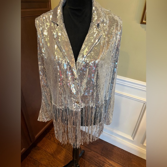 Ashley Stewart Shimmering Silver Fringe Blazer - Picture 3 of 10